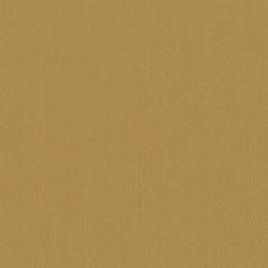 Inca 04 Swatch image for Inca 04
